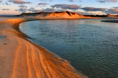 Sandee - Ruakaka Beach