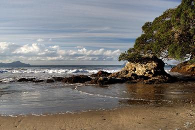 Sandee - Waipu Cove