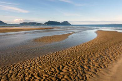 Sandee - Ruakaka Beach