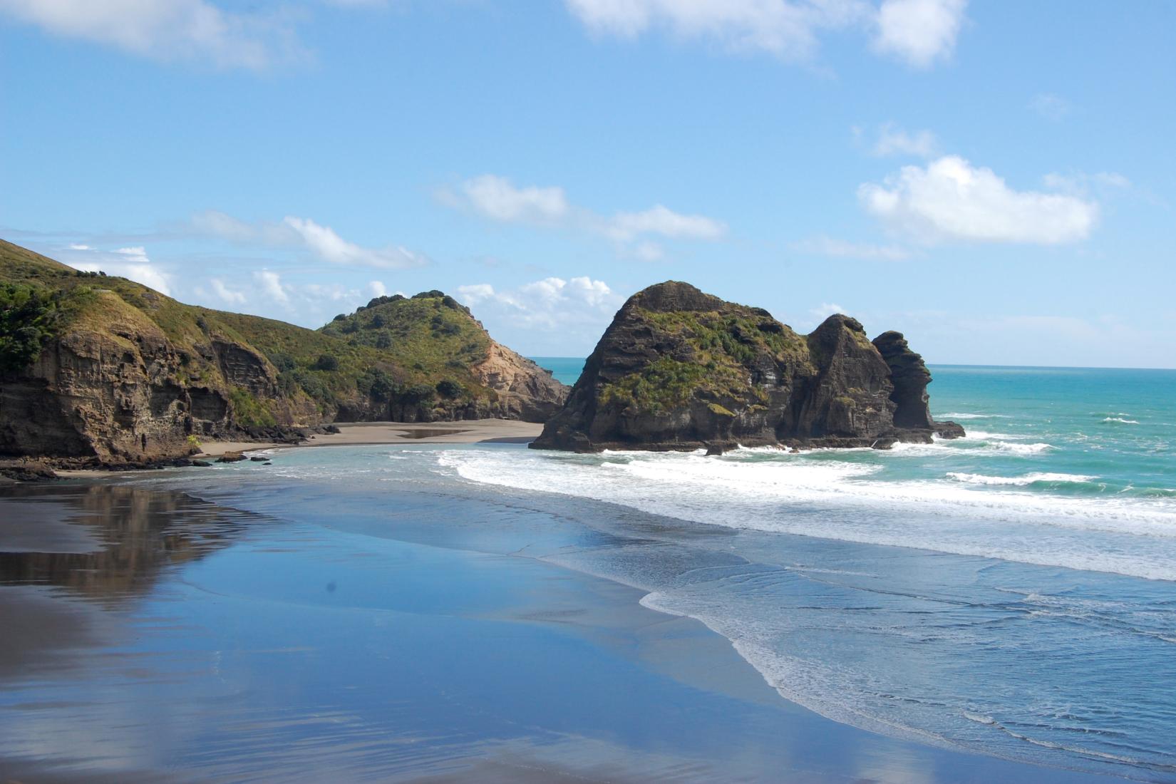 Sandee - Piha Beach