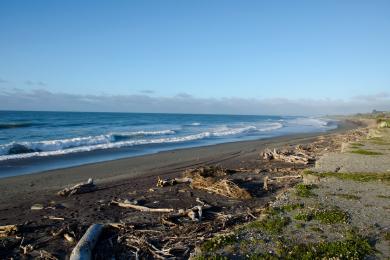 Sandee - Hokitika Beach