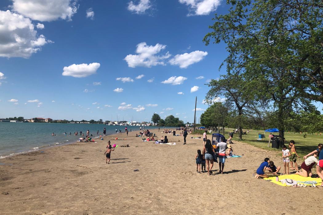 Sandee Belle Isle Beach