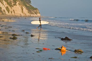 Sandee - Arroyo Burro Beach