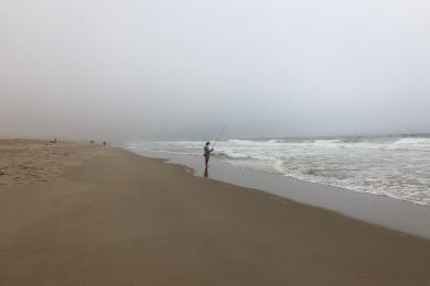 Sandee - Guadalupe-Nipomo Dunes