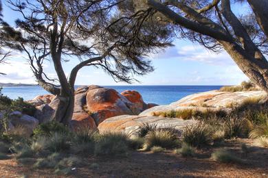 Sandee - Bay Of Fires