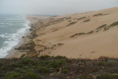 Sandee Guadalupe-Nipomo Dunes