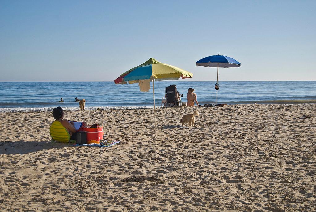 Sandee Arroyo Burro Beach Photo