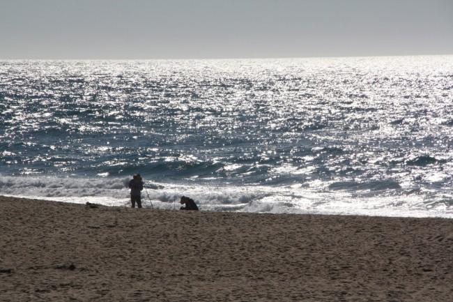 Sandee - Guadalupe-Nipomo Dunes