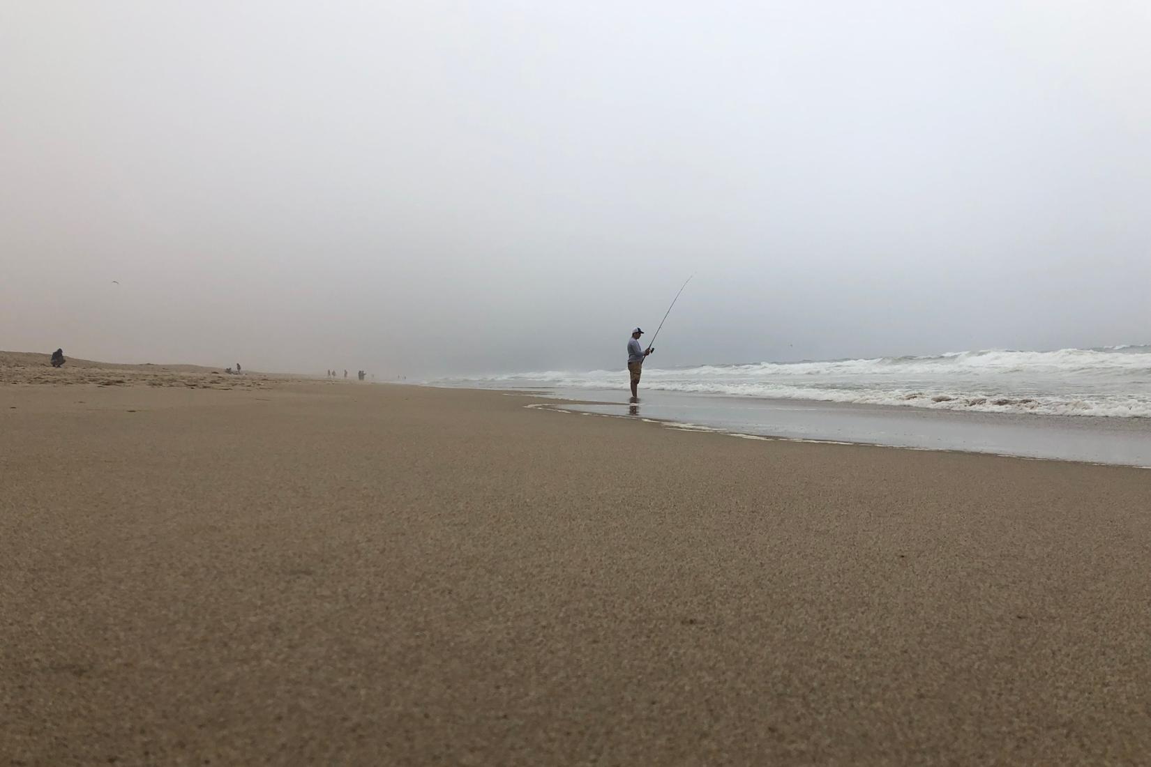 Sandee - Guadalupe-Nipomo Dunes