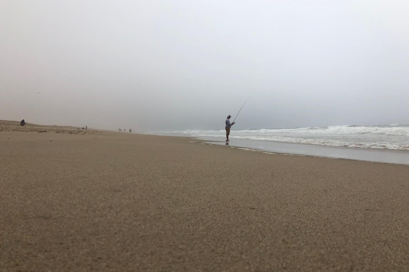 Sandee - Guadalupe-Nipomo Dunes