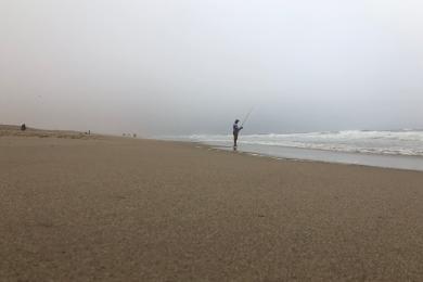 Sandee - Guadalupe-Nipomo Dunes