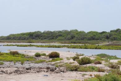 Sandee - Kaufer-Hubert Memorial Park