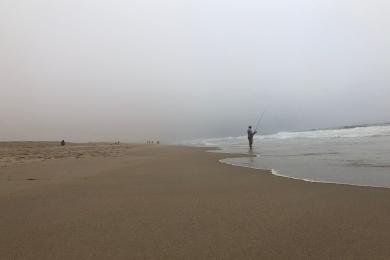 Sandee - Guadalupe-Nipomo Dunes