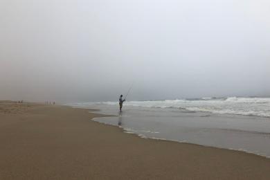 Sandee - Guadalupe-Nipomo Dunes