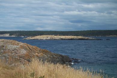 Sandee Cattle Point Photo