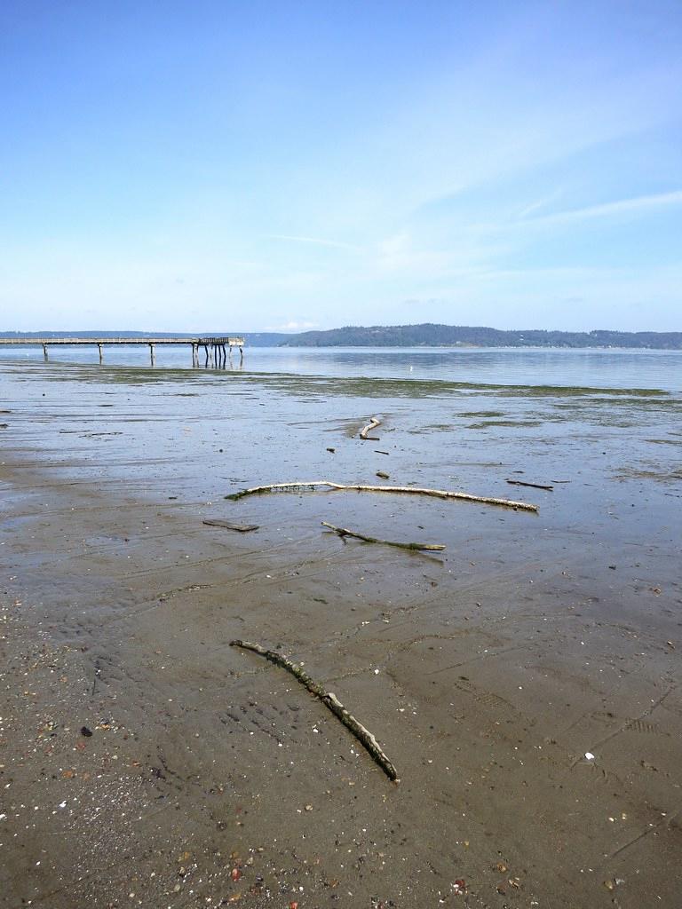 Sandee - Dash Point State Park