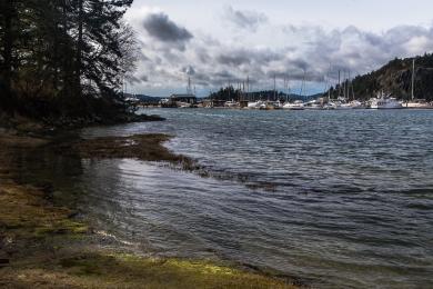 Sandee Deer Harbor Marina Photo