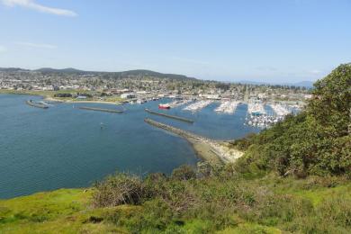 Sandee Fidalgo Bay Photo