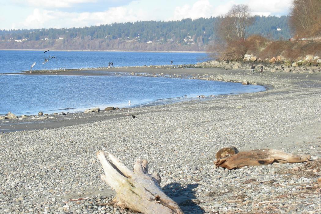 Sandee Golden Gardens Photo