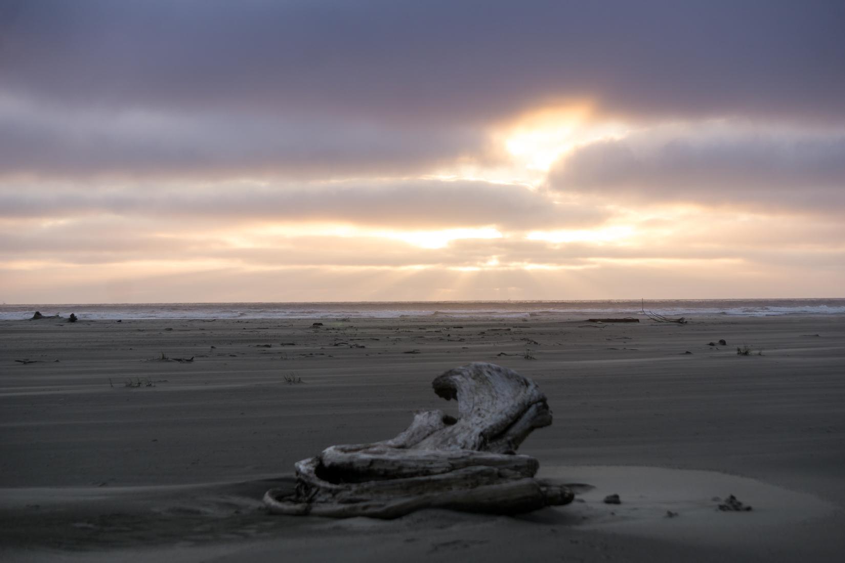 Sandee - Grayland Beach State Park