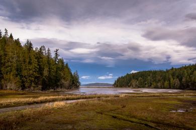 Sandee Hood Canal Saltwater Park