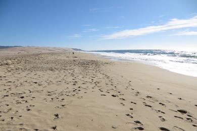 Sandee Rancho Guadalupe Dunes