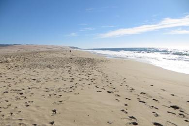 Sandee Rancho Guadalupe Dunes Photo