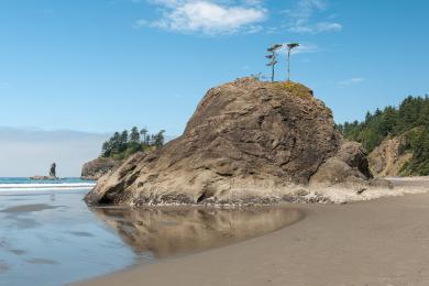 Sandee La Push First Beach Photo