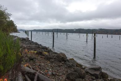 Sandee Lilliwaup Tidelands State Park Photo