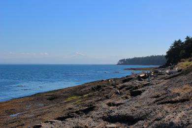 Sandee Little Patos Island, Beach 366a Photo