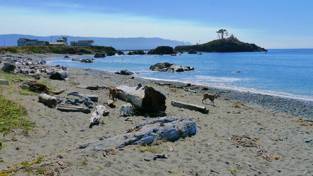 Sandee - Crescent City Harbor Beach