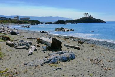 Sandee Crescent City Harbor Beach Photo