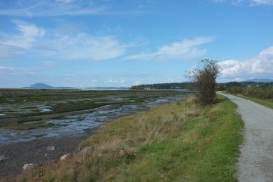 Sandee Padilla Bay National Estuarine Research Reserve Photo