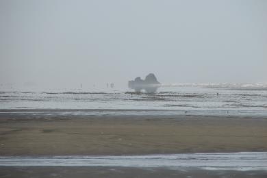Sandee Pacific Beach