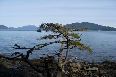 Sandee Salmon Beach Photo