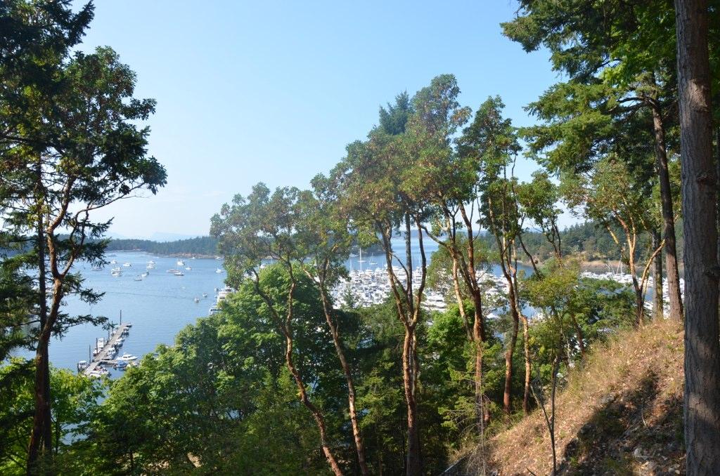 Sandee - San Juan Preservation Trust, Henry Island