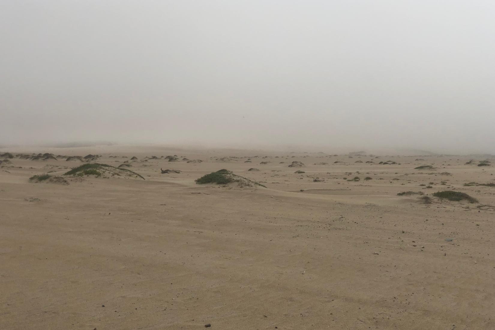 Sandee - Guadalupe-Nipomo Dunes