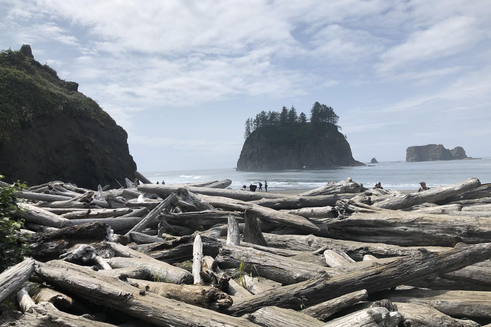 Sandee - La Push Second Beach, Olympic National Park