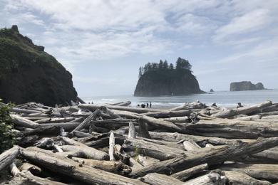 Sandee - La Push Second Beach, Olympic National Park