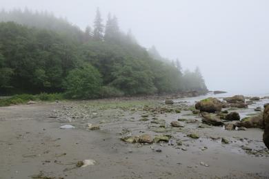 Sandee Sekiu Point, Beach 427