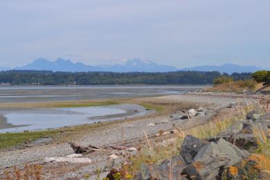 Sandee Semiahmoo County Park