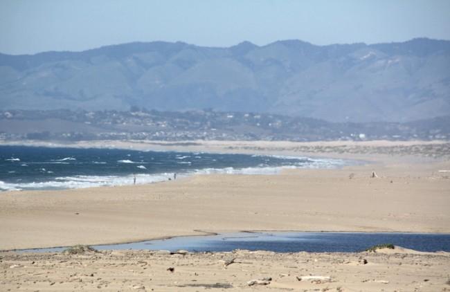 Sandee - Guadalupe-Nipomo Dunes