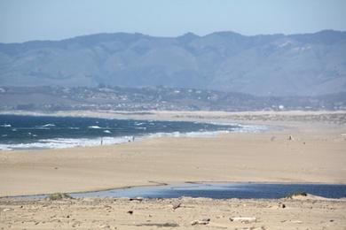 Sandee - Guadalupe-Nipomo Dunes