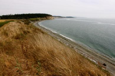 Sandee South Ebey's Landing Photo