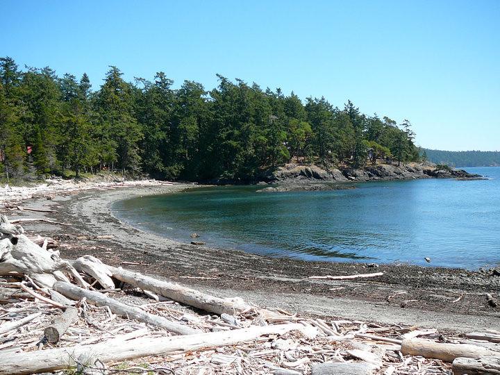 Sandee - Shaw Island County Park / Indian Cove