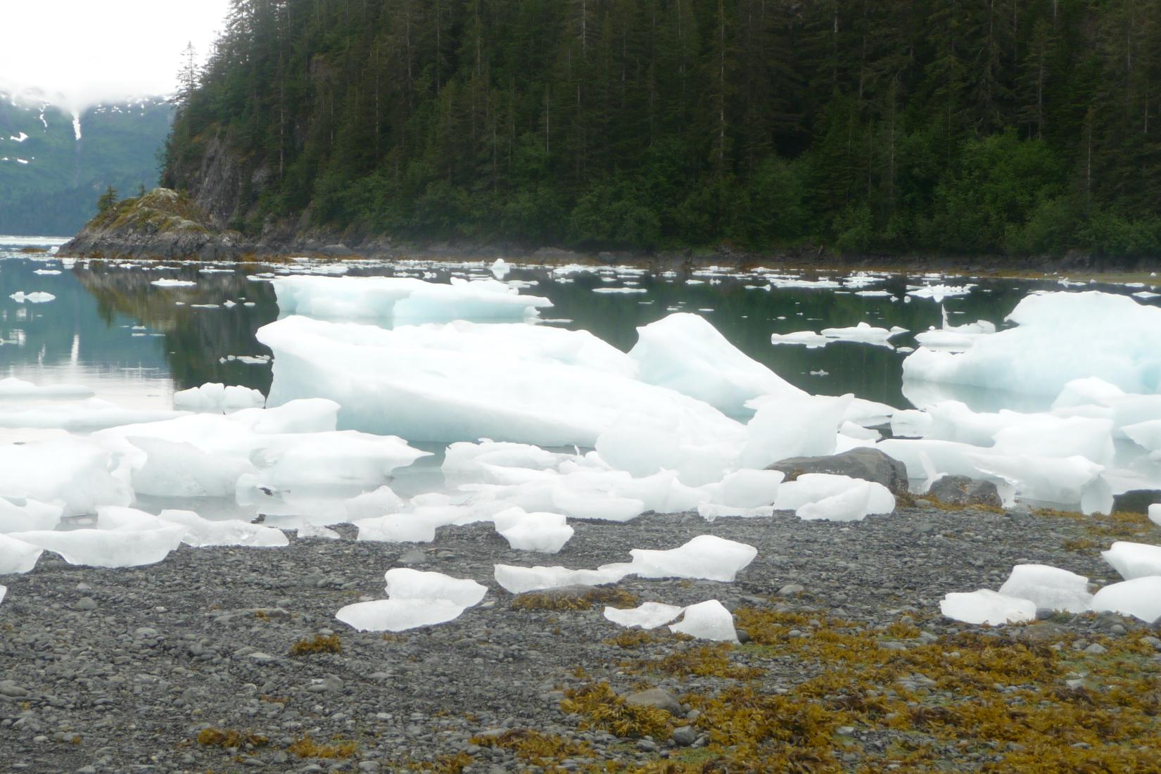 Sandee - Black Sand Beach: Barry Arm