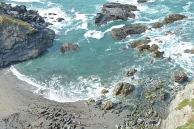 Sandee - Godrevy Beach