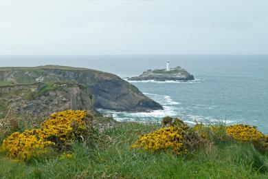 Sandee - Godrevy Beach