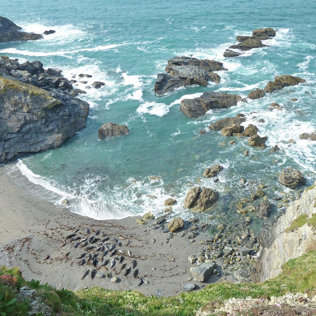 Sandee - Godrevy Beach