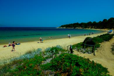 Sandee - Mandraki Beach